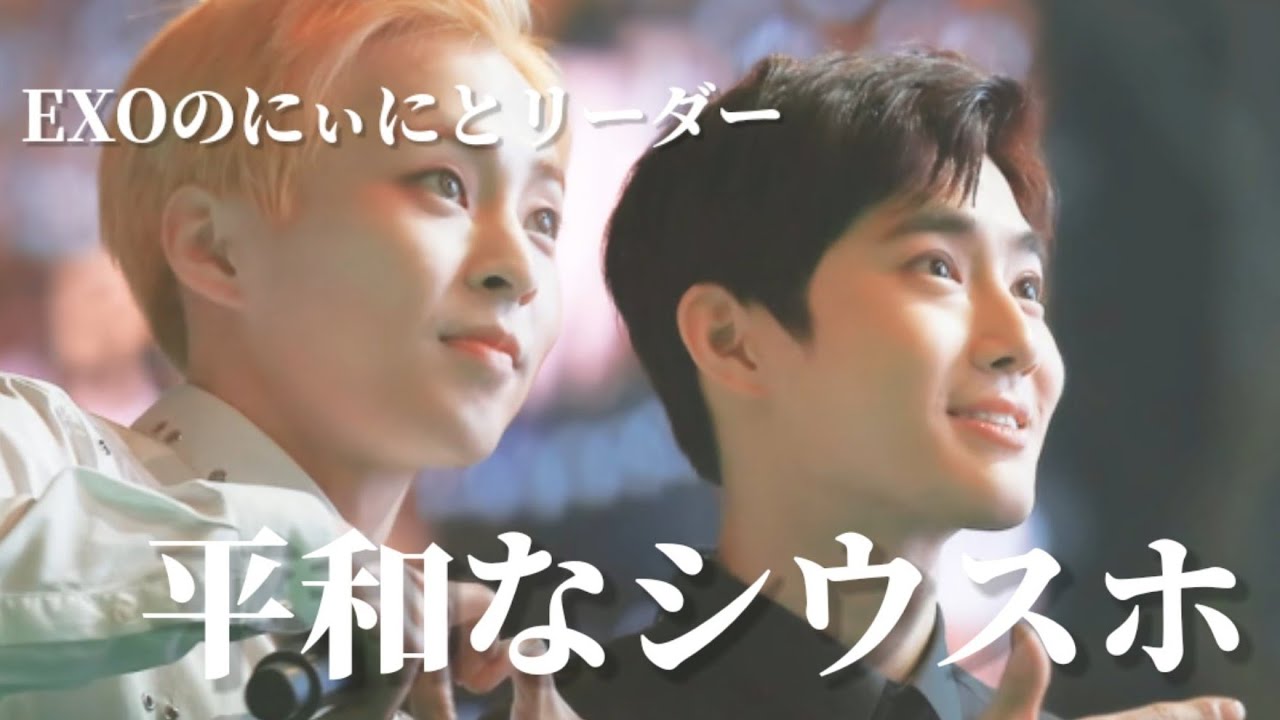 【EXO 日本語字幕】こんなに尊いのに何故かマニアック扱いされる長男コンビ【シウスホ】