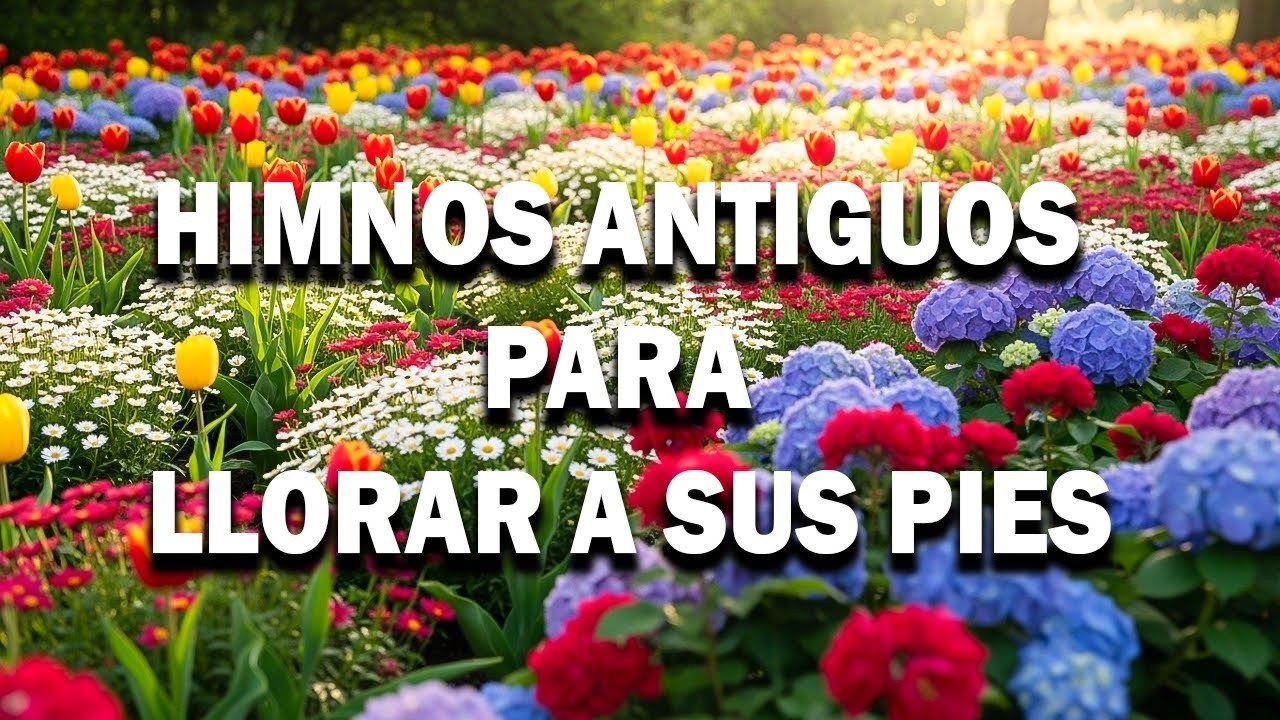 🕯️ HIMNOS DE ESPERANZA Y MISERICORDIA – PAZ QUE RENUEVA | 2026