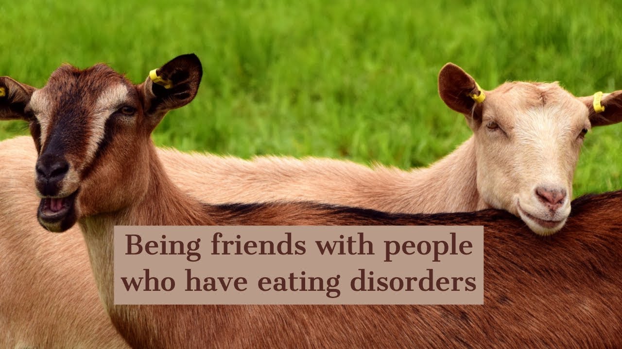 Being friends with people who have eating disorders