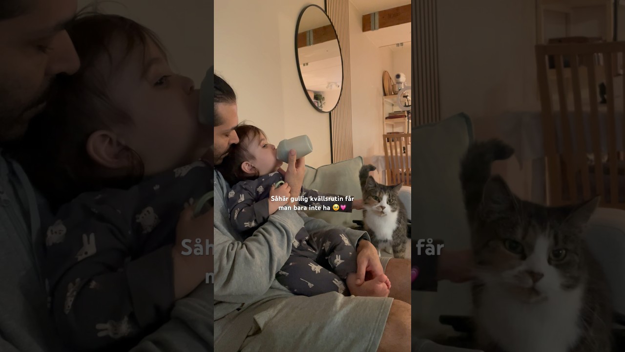 Klappa katt och dricka v&auml;lling 🥹 #familj #pappa #mamma #vlogg #sm&aring;barn #katt #cute