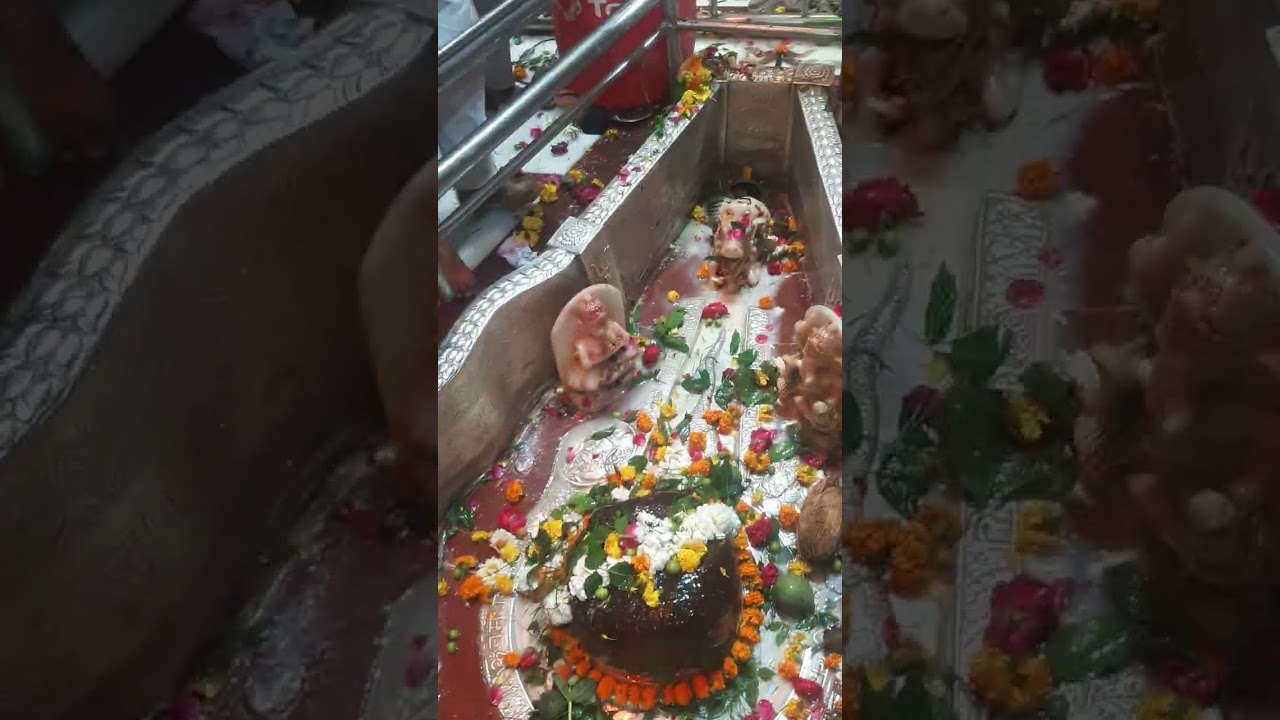 15/2/2026 Baba achleshwar ke Shivratri Vishesh Darshan live Gwalior