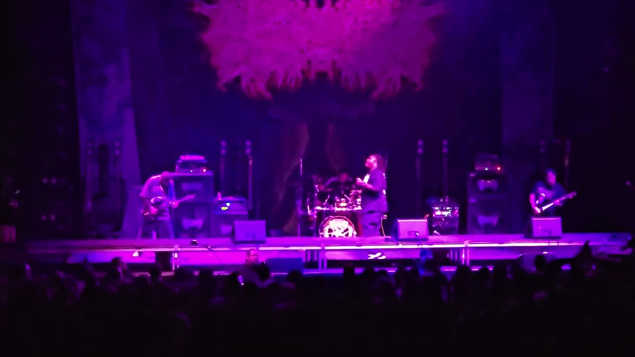 PeelingFlesh - Full Set (Live in Houston, TX 2025)