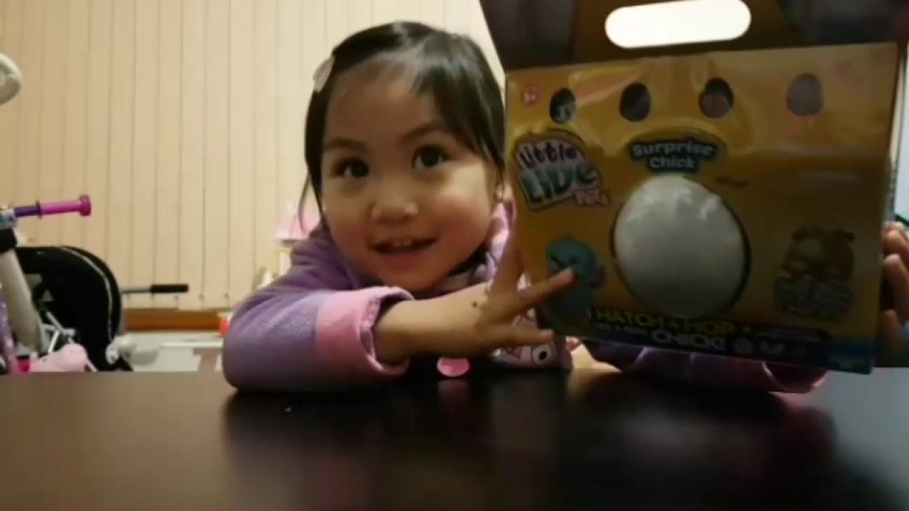 Unboxing Opening  Little Live Pets Surprise Chick-Golden Chick Limited Edition