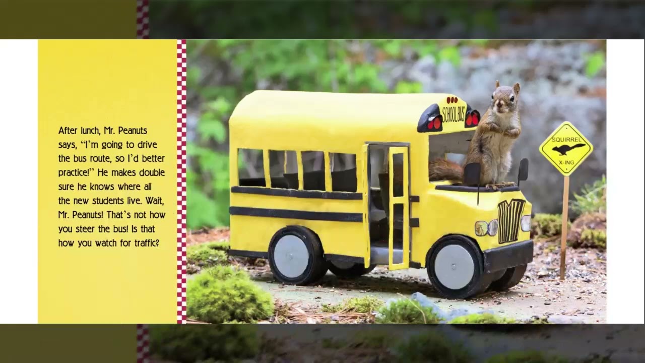 The Secret Life of Squirrels: Back to School! by Nancy Rose, a Read Aloud