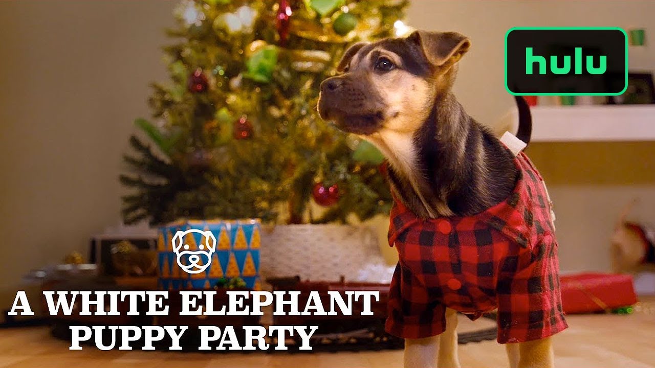 Holiday Scenics: A White Elephant Puppy Party | Hulu
