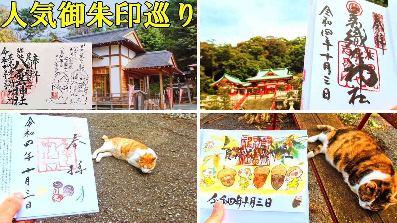 【御朱印旅vlog/印活】足利～佐野人気御朱印４選|神社仏閣・日本の文化巡り旅