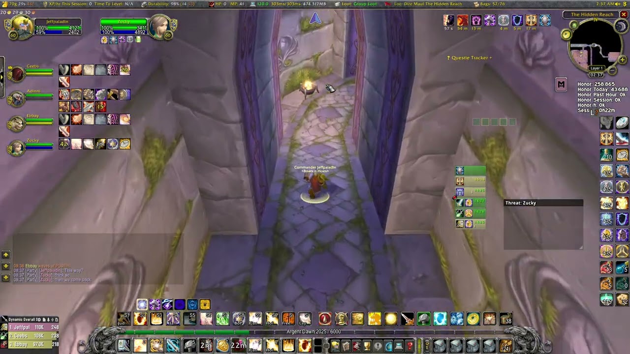 Chill WoW Classic Paladin Tanking Dire Maul East (DME)