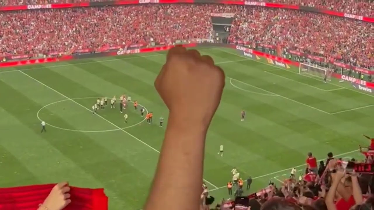 BENFICA CAMPEÃO NACIONAL  27 Maio 2023...EU AMO O BENFICA cantado por todo o Estádio da Luz