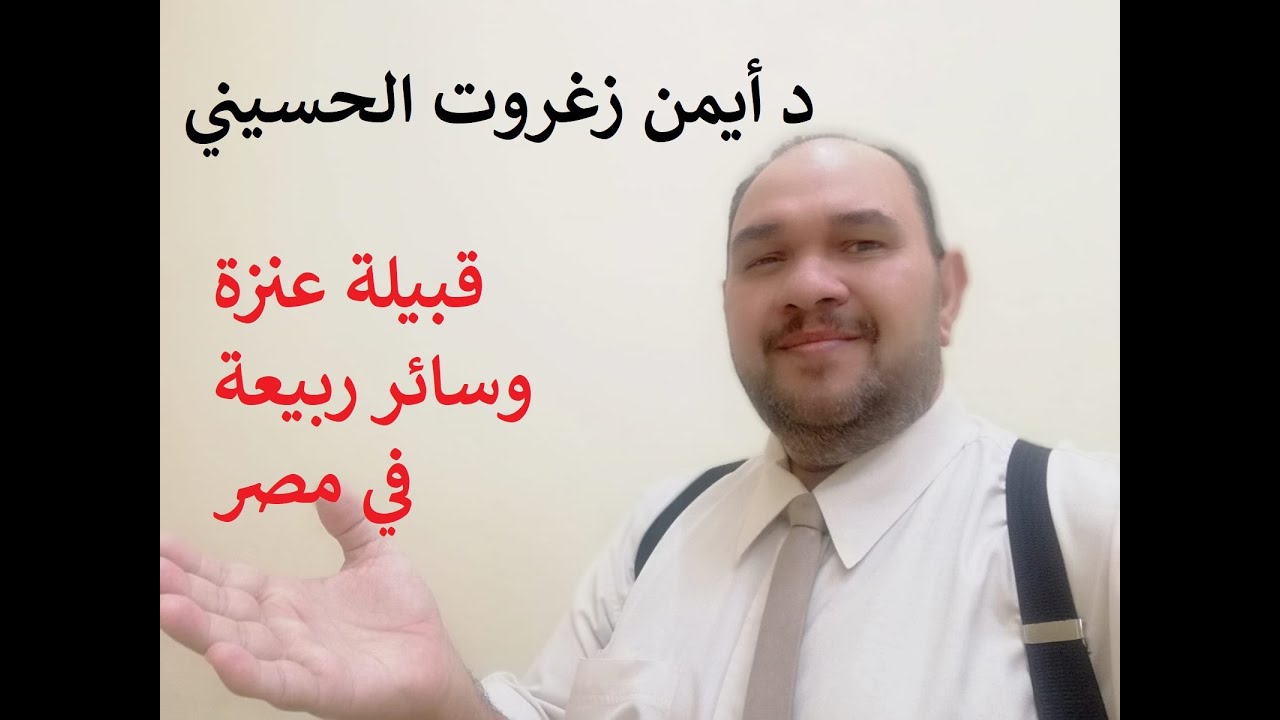 عنزة وسائر ربيعة بن نزار في مصر - الجزء الاول