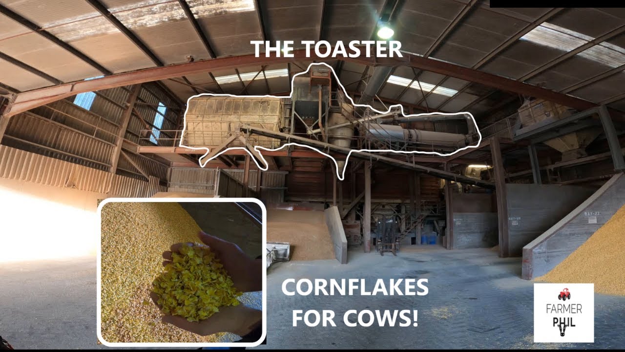 КАК ИЗГОТОВЛЕН CALF CRUNCH — ВНУТРИ LIFFEY MILLS, ЧАСТЬ 1