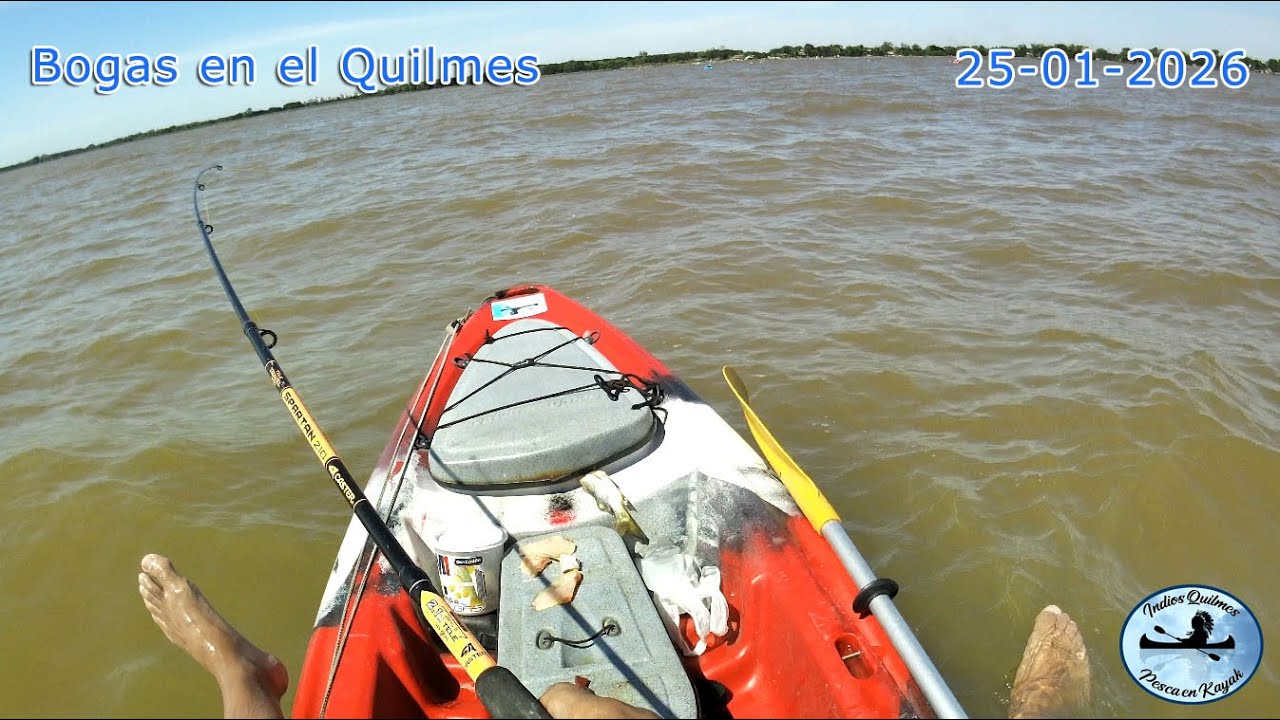 Muchas Bogas en Quilmes!! Salida 25-1-2026 🎣🐟