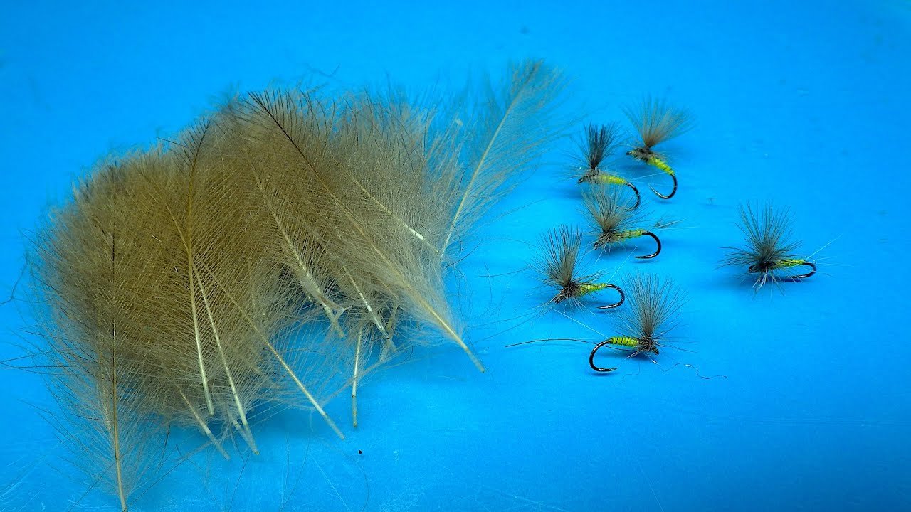 Preparing some CDC Feathers for Tying Flies..