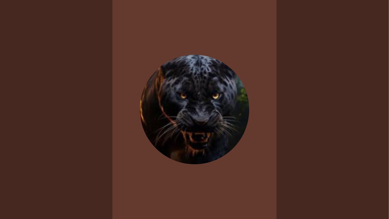 Beast49 is live!