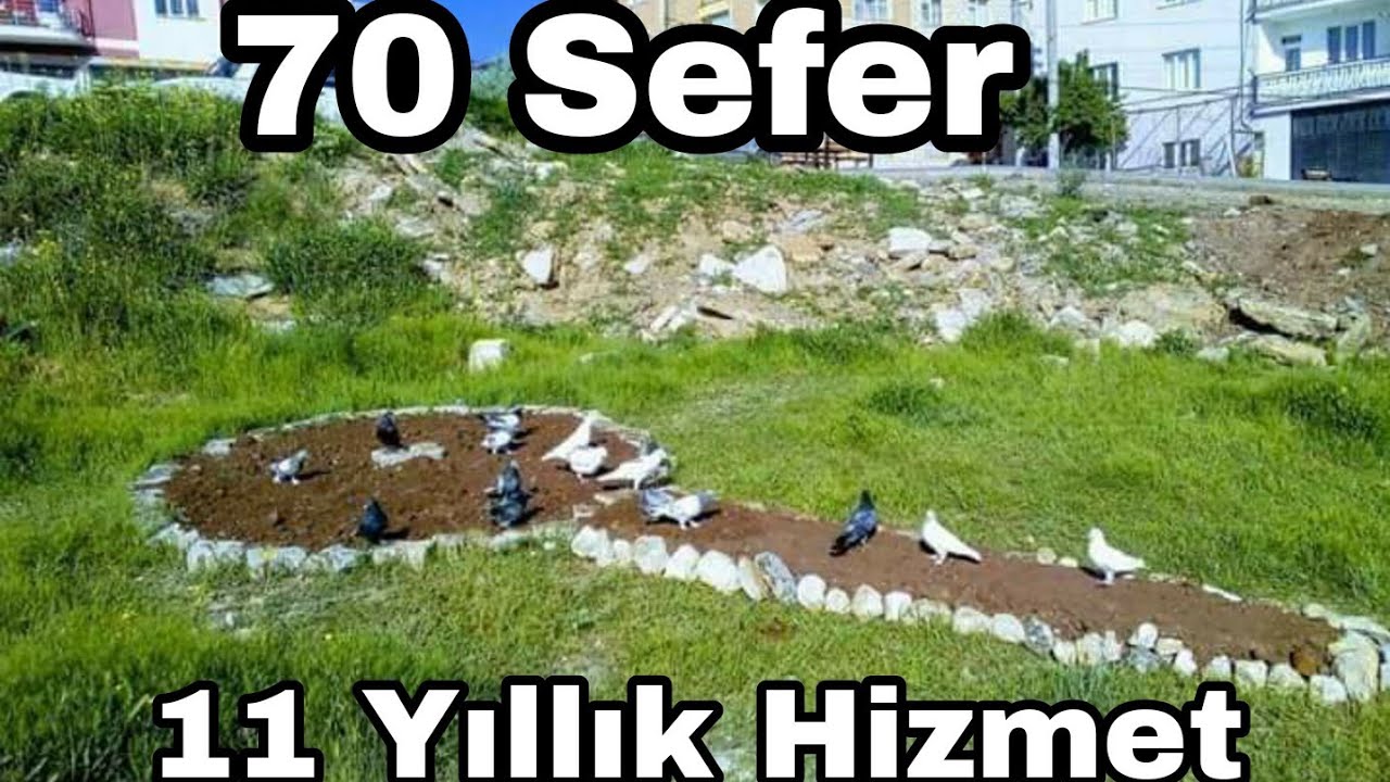 70 Seferli Kuşlar!!!