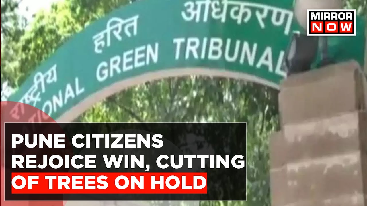 Green Tribunal Backs Greenary Asks PMC Not To Cut Tree For Riverfront Dev. Project Till July 31