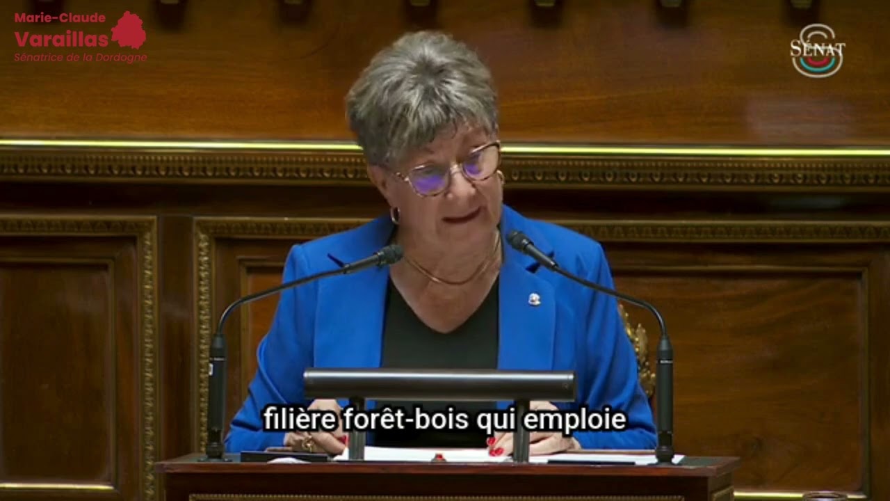 Filière bois : un levier pour l’économie locale et la transition écologique