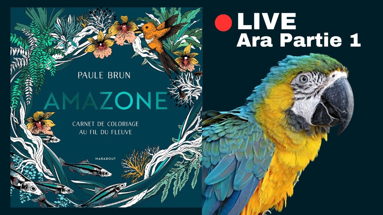 🔴 LIVE : Ara Partie 1 - Pourquoi utiliser l'aquarelle en 1e couche dans un coloriage - AMAZONE