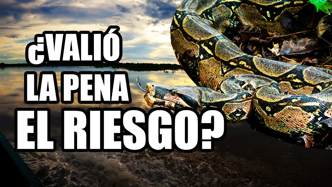 ENTRÉ a la Selva de los ESPEJOS: Donde nace el Amazonas (Pacaya Samiria) 🐬 / TRIP PERÚ EP2 T2
