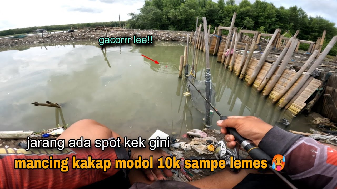 Gacorrr lee!! Cuma modal 10 ribu bisa mancing kakap putih 😱