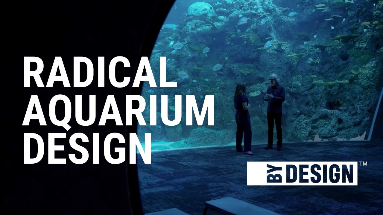 Seattle's Radical Ocean Pavilion: Designing a New Wave of Aquariums