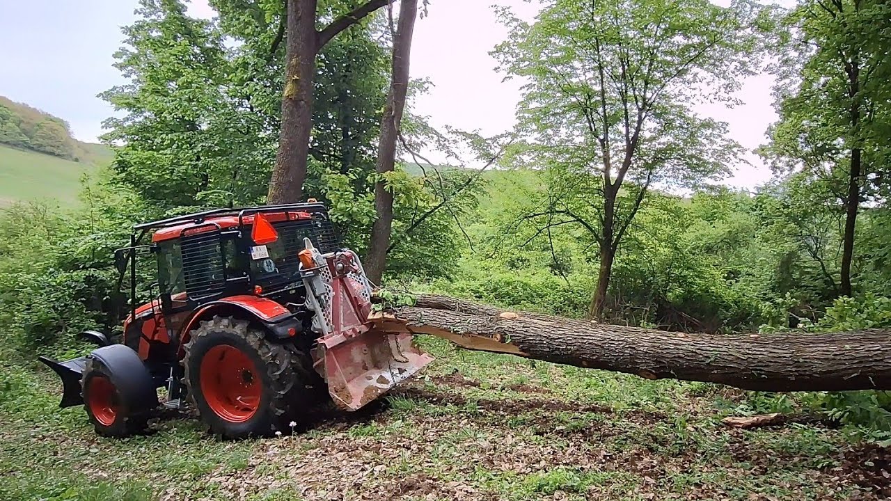 Первая лесозаготовка новым Zetor Proxima 110 plus, Stihl ms 500i, Amles, Forestwork