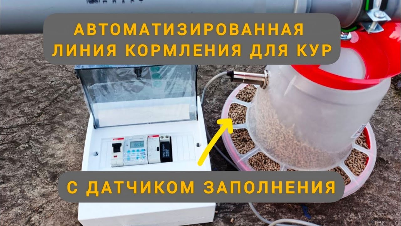 Продолжение: автоматическая линия кормления / кормушка для птицы (кур) с датчиком заполнения #куры