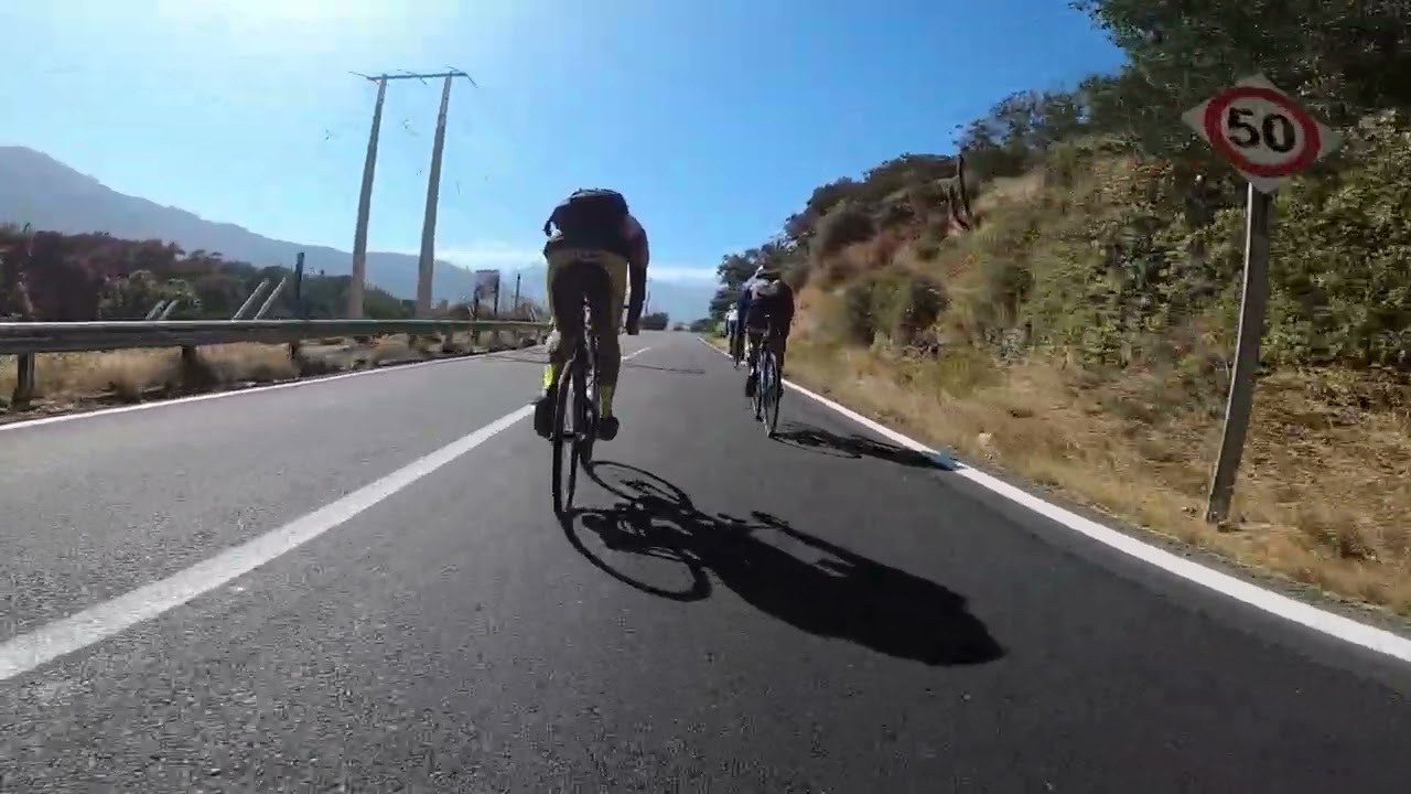 FIXIE 246