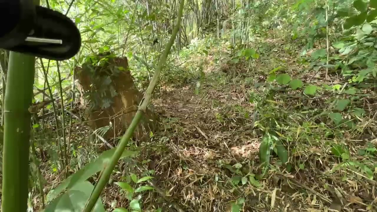 Khai xuân ko may mắn roi ae//