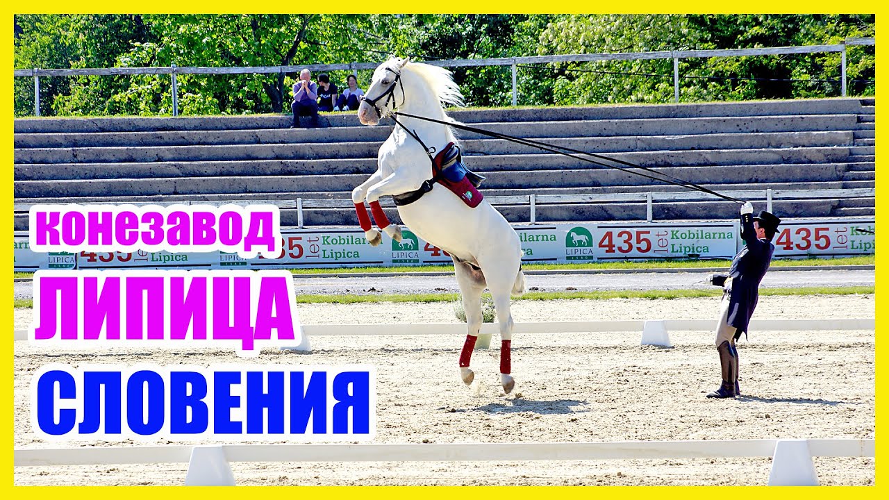 Конезавод Липица, Словения | Поездка к Липицианам | Farm Lipica, Slovenia