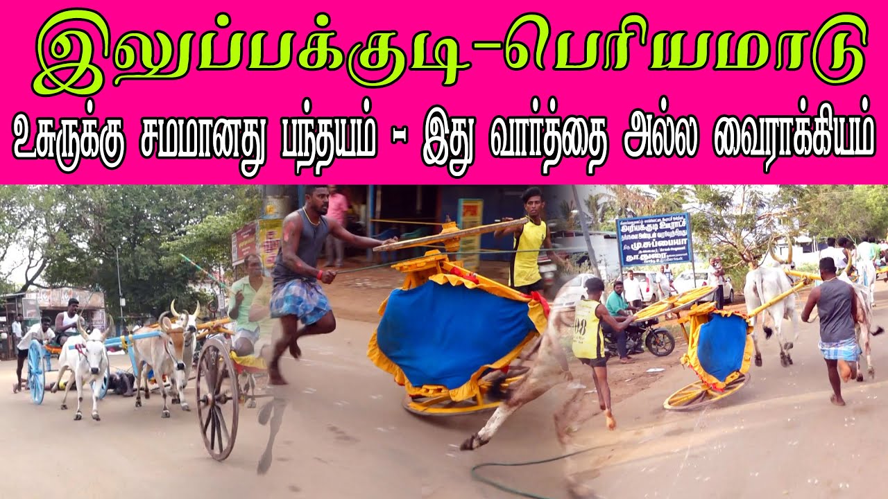 ETSS reckla race - இலுப்பக்குடி (பெரியமாடு-18.04.2022) bulls race