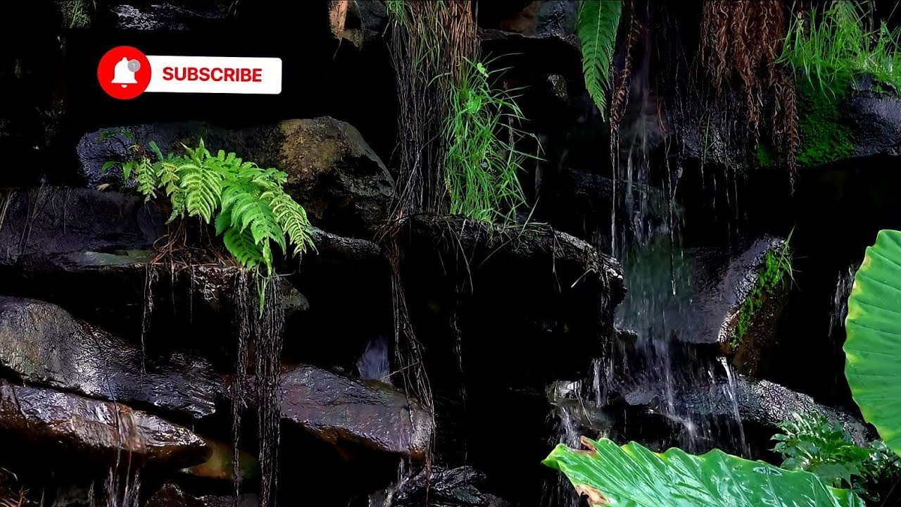 Calm and relax with the sound of water, the sound of the waterfall
