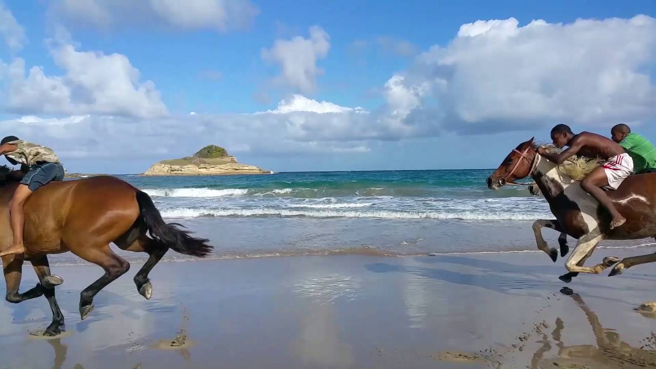 Horseback Riding in St.Lucia with Atlantic Shores Riding Stables