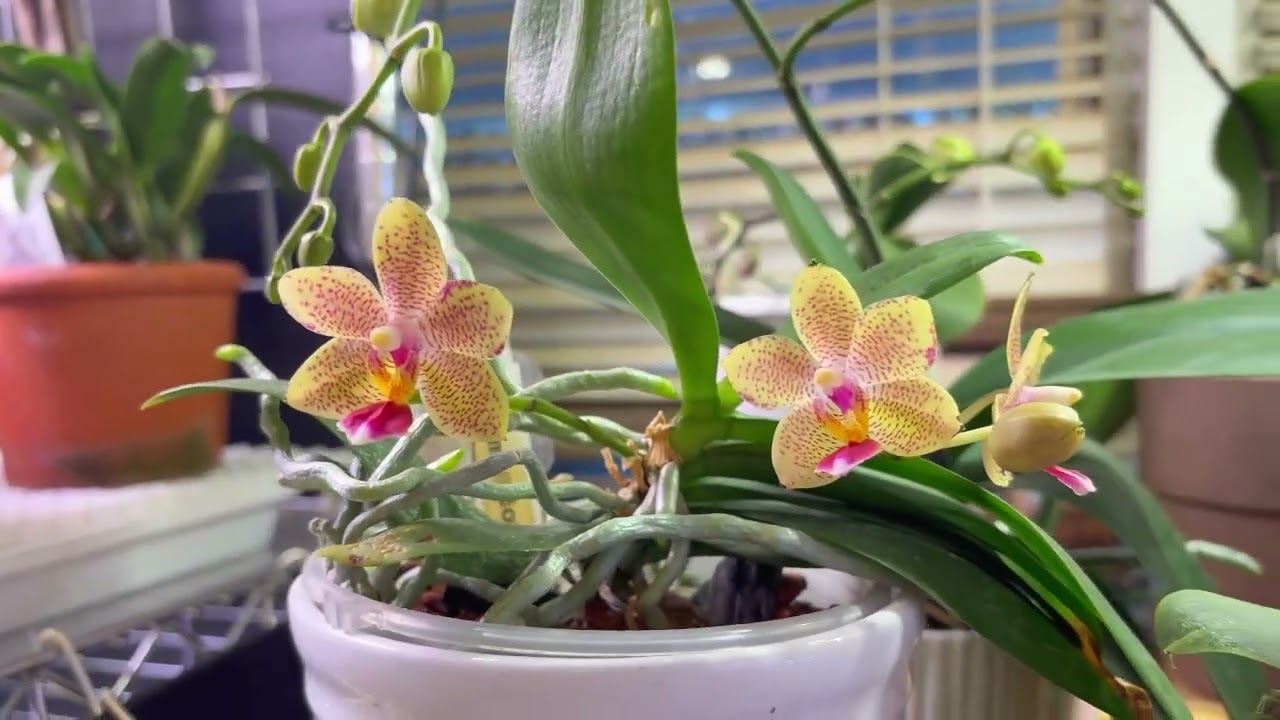 February Bloom Update | February 2026