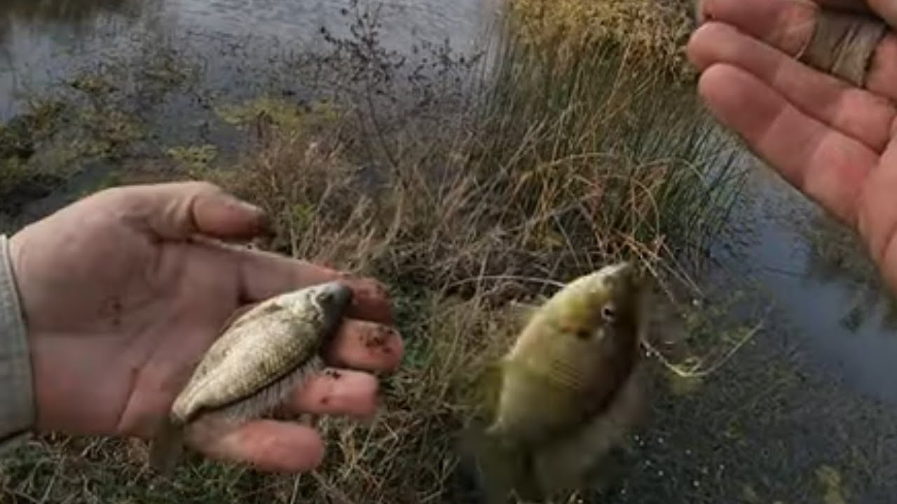 Когда ветер дует на плотине Джозини