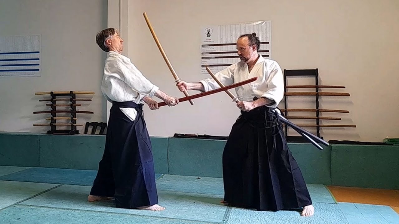 &iquest;C&oacute;mo aprender a usar las dos espadas? - Cap&iacute;tulo 1 #martialarts #kenjutsu #aikido #katana