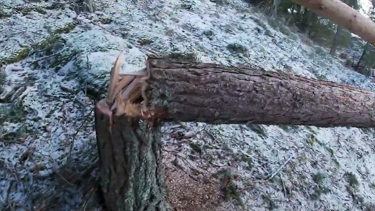 Aletaanpas siivoon Hanneksen sotkuja