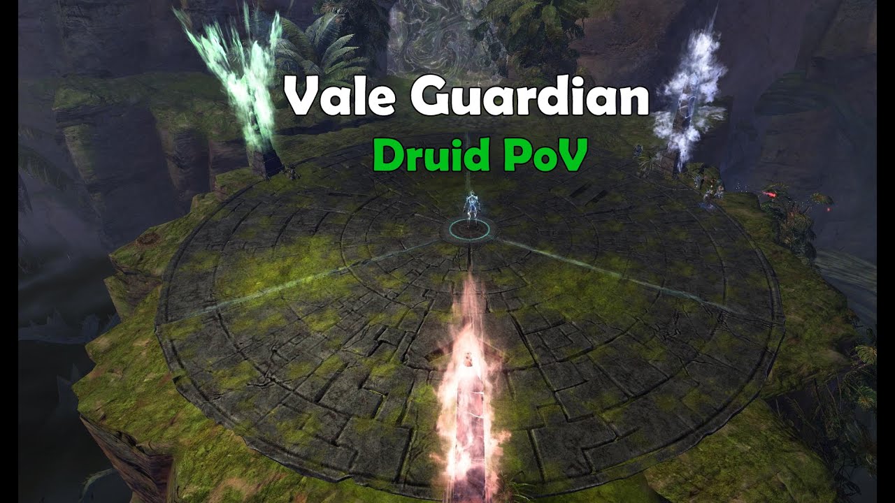 GW2 | Vale Guardian | Solo Heal Alacrity Druid | Tank (Mid Strat) PoV + Tips-ish