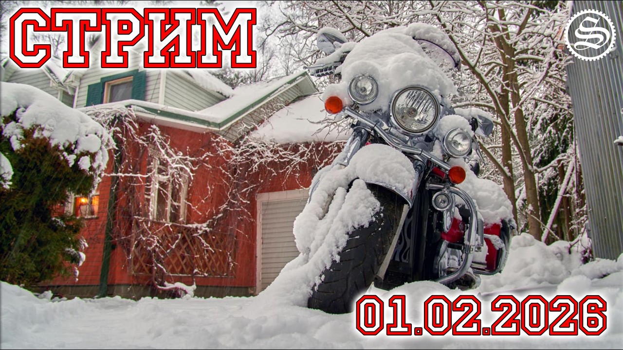 Стрим 01.02.2026