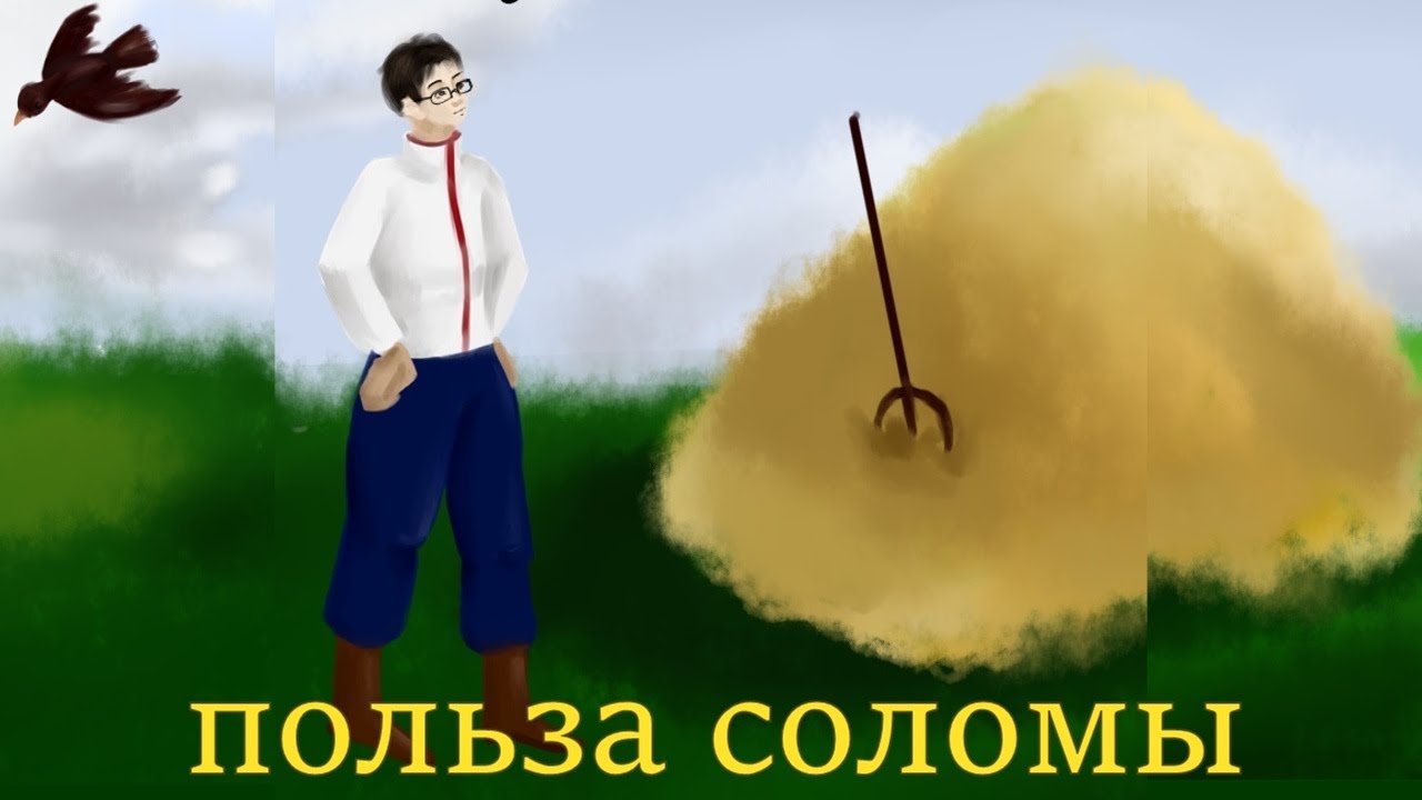 Солома для лука чеснока Рокамболь. Хозяйство Кузнецова С.А.