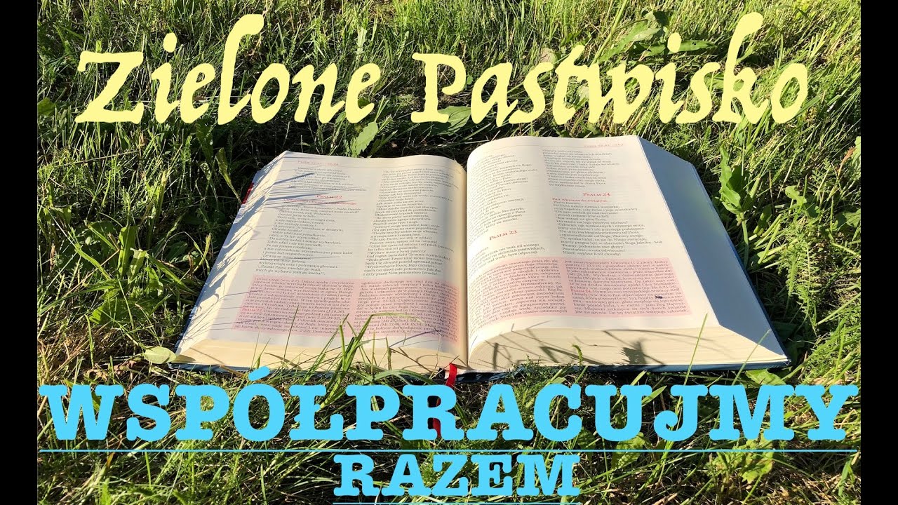 Zielone Pastwisko 23.01.2026 „WSPÓŁPRACUJMY RAZEM” - 1 Sm 24, 3-21; Mk 3, 13-19 - o. Piotr Kleszcz