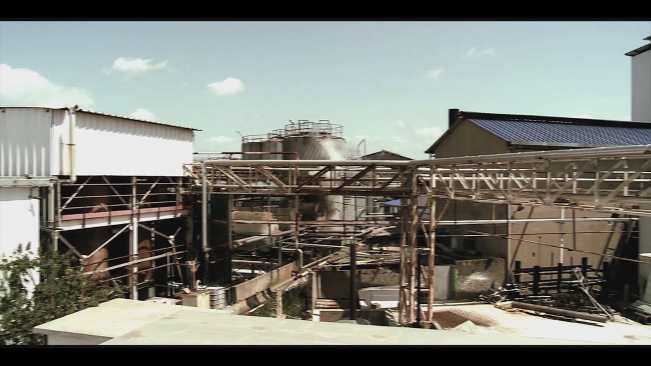 TEMOIGNAGE CLIENT   CARTHAGE GRAINS