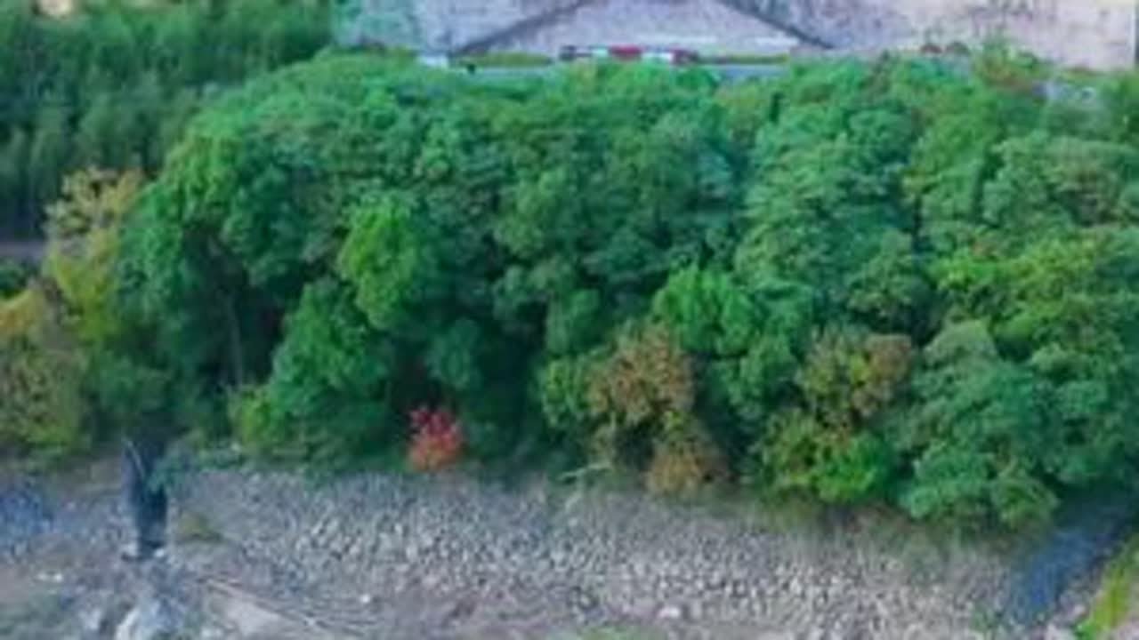 蒋母故里，驻岭水库，沧桑变迁明溪九曲 #2026心动打卡第一站 #旅行 #自驾出游 #蒋氏 #旅游推荐官