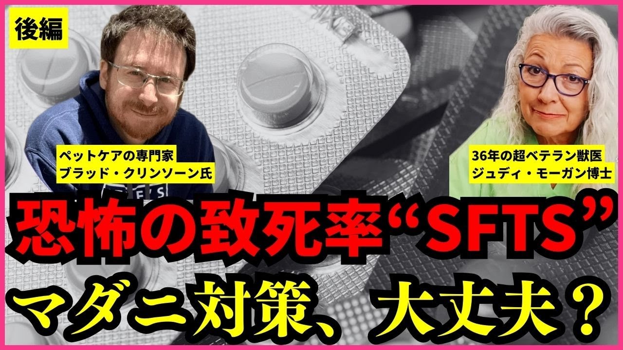 【警告】獣医が語らないSFTSの真実┃予防薬に頼らない”マダニ・ノミ対策”