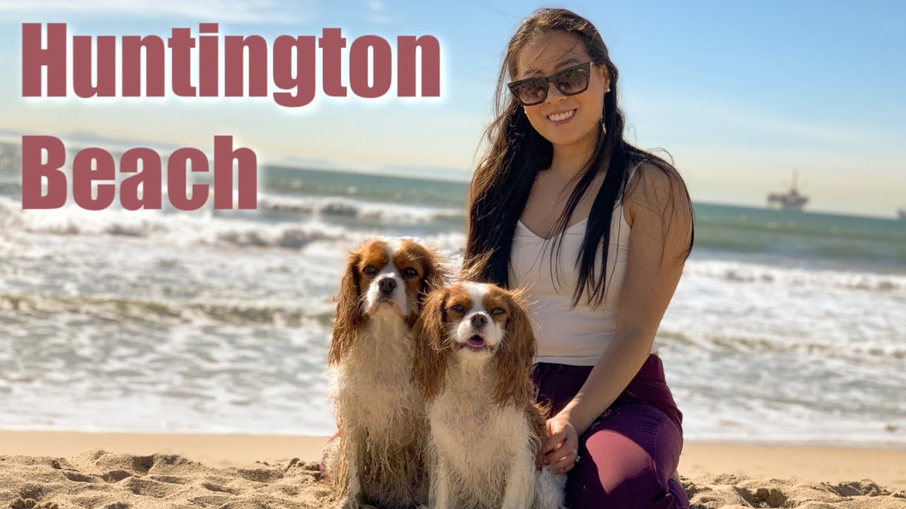 BEST OFF LEASH DOG BEACH | Huntington Beach