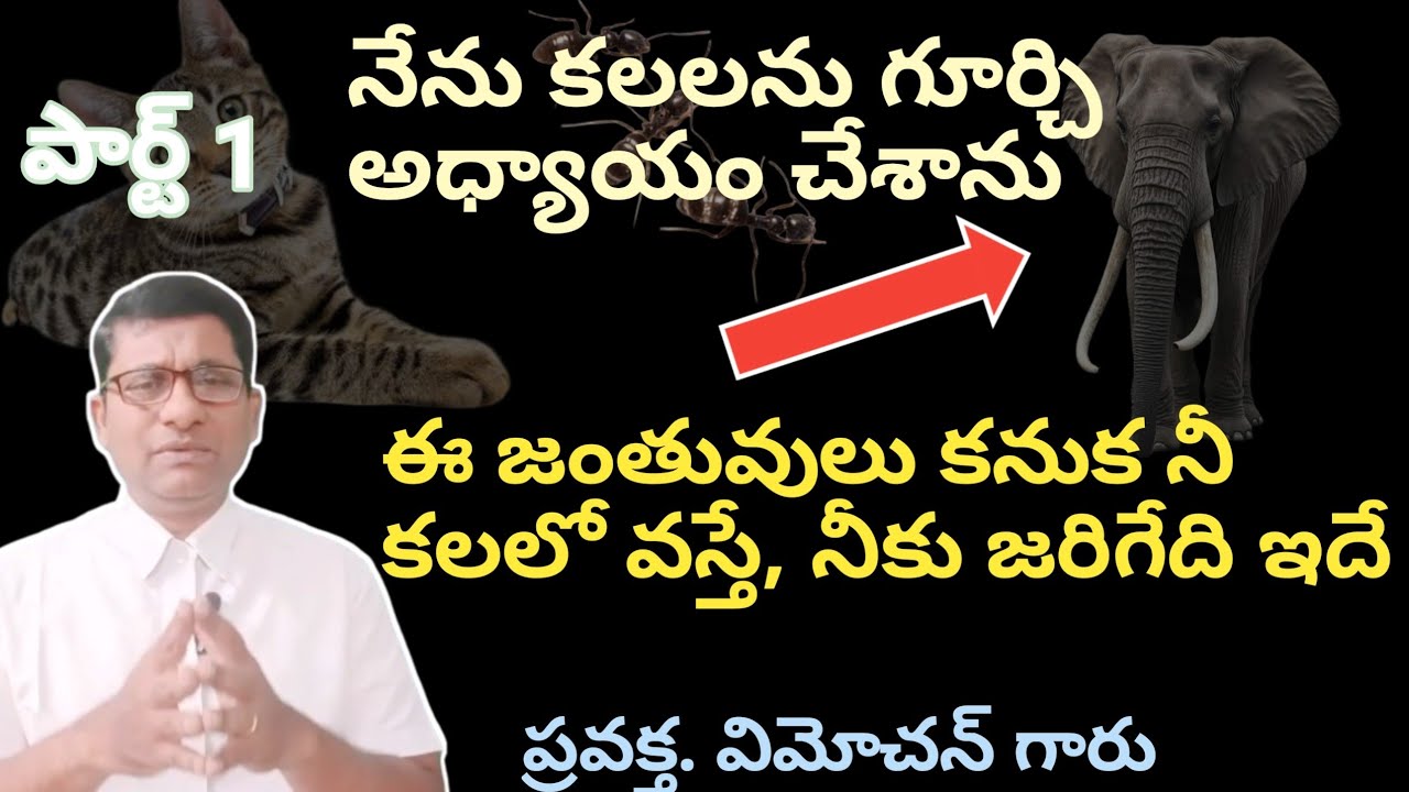 ఈ జంతువులు కనుక నీ కలలో వస్తే 
