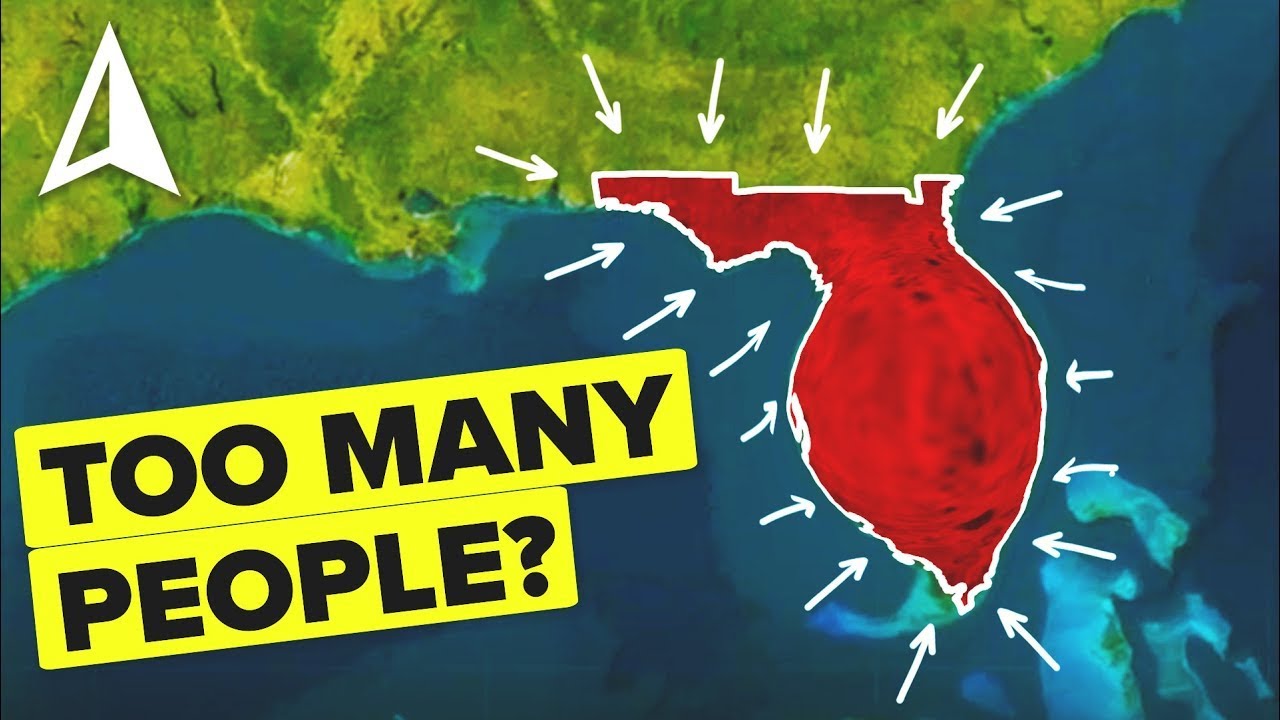 Why Everyone Is Moving to Florida