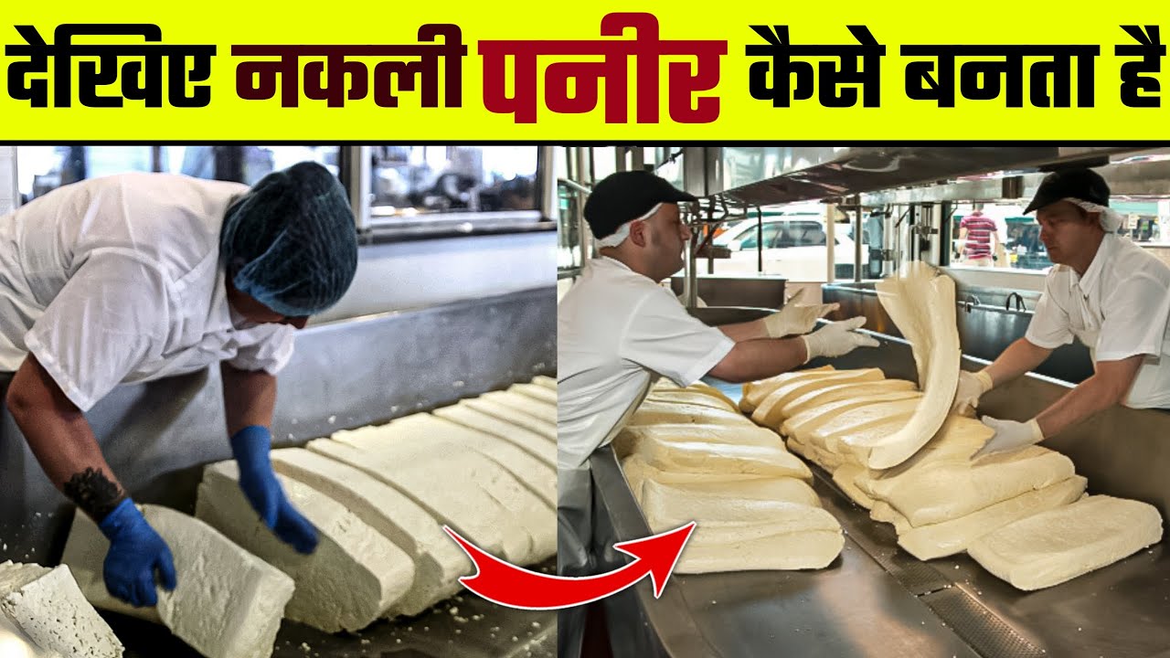 इतने सारे नकली पनीर कैसे बनाते हैं | Nakli Paneer Kaise Banta hai/How Fake Paneer is Made in Factory