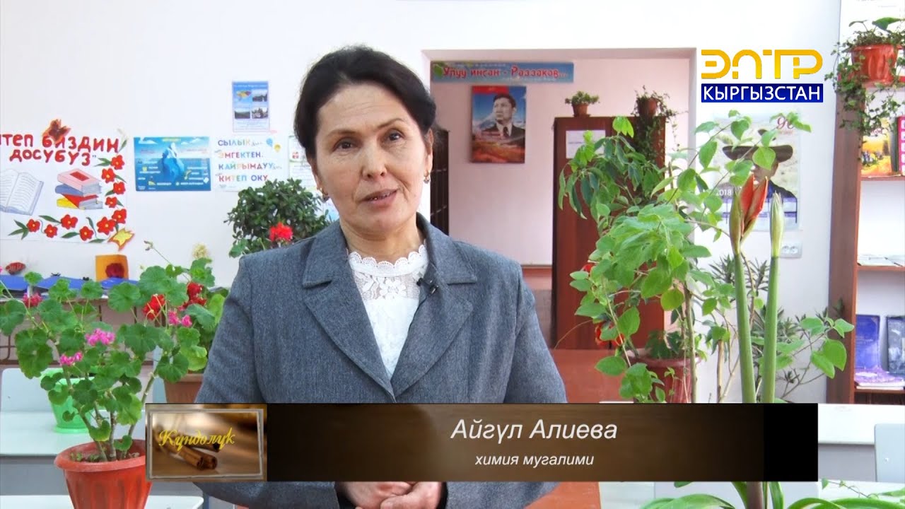 Мугалим күндөлүгү // Айгул Алиева