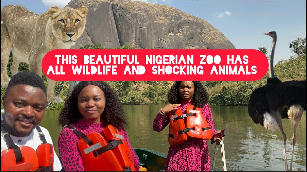 Discover the Best Park and Zoo in Nigeria with Multiple wild Animals