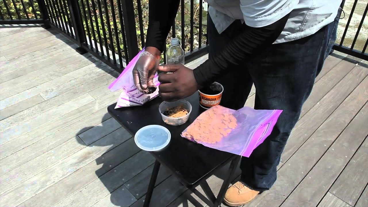 How to Make Bullhead Bait : How to Catch Catfish